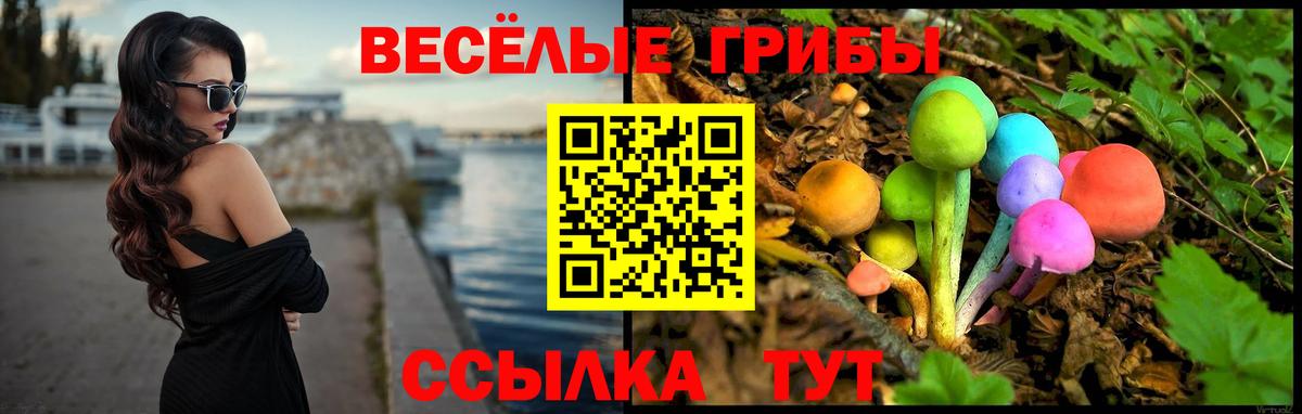 Галлюциногенные грибы Psilocybe Рязань